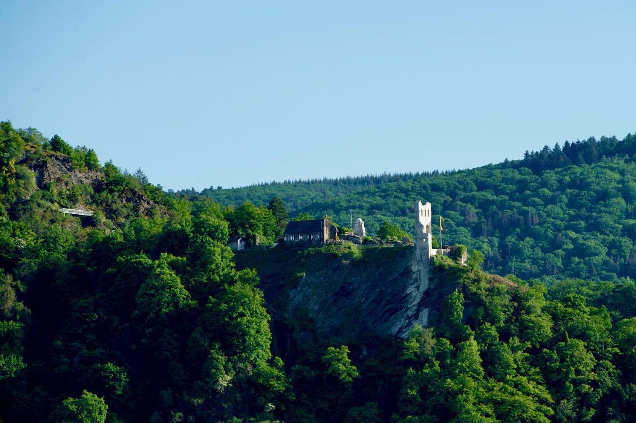 Neu - Premium-Ferienhaus Mosel-Sonne Traben-Trarbach Eksteriør billede